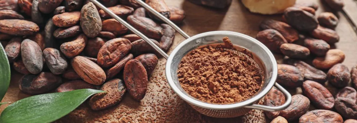 Contáctanos - Cocalmayo